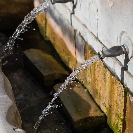 Apartman Bicas Velhas Loulé